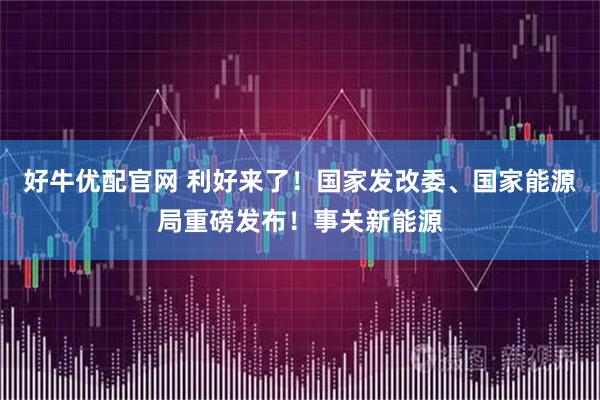 好牛优配官网 利好来了！国家发改委、国家能源局重磅发布！事关新能源