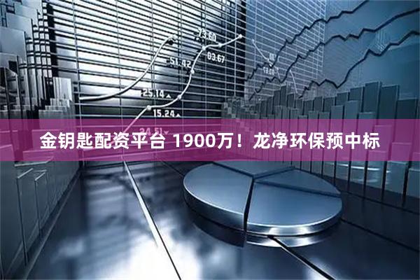 金钥匙配资平台 1900万！龙净环保预中标